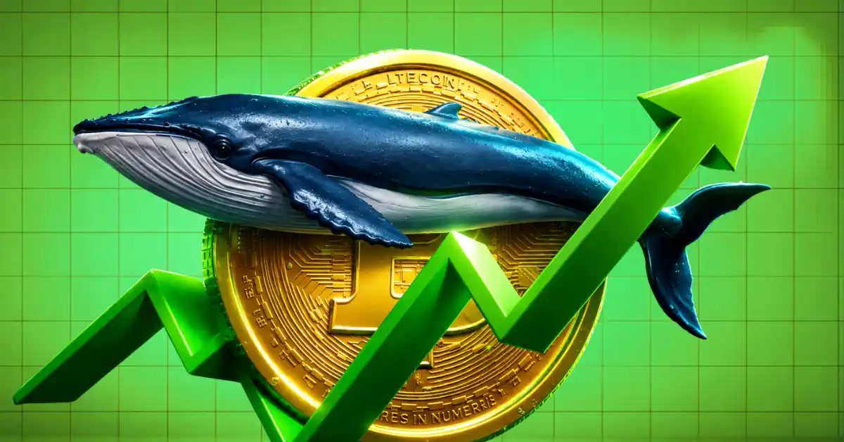 Where are Crypto Whales Buying Next After Bitcoin’s Rally