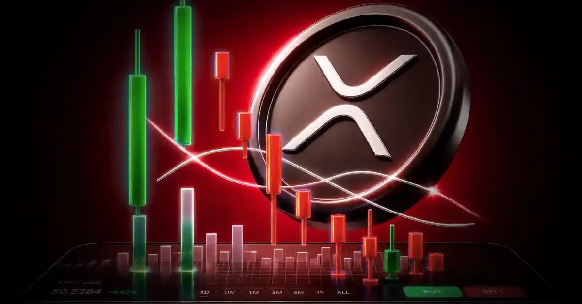 XRP Price Nears Capitulation Zone as Whale Accumulation Builds